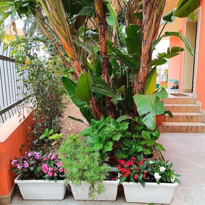 Casa Vacanze In Villa Decimomannu Exterior foto
